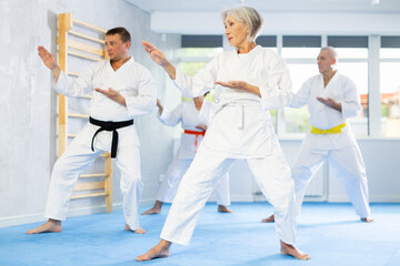 Diligent elderly women and men attendee of karate classes practicing kata standing in row with others in sports hall © JackF