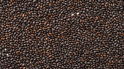 Close-up view of dark seeds on textured background