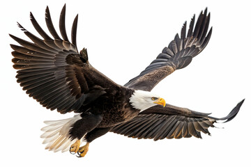 Fototapeta premium Bird Of Prey In Flight Against White Background of Sky,Majestic eagle soaring in the sky, cut out - stock png,a bird flying with wings spread,A finely crafted digital illustration of a bald eagle soar