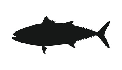 Tuna fish silhouette ,vactor design, see fish with white background.