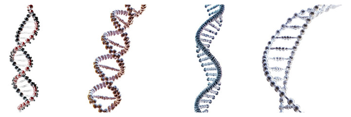 Colorful Representation of DNA Helix in Different Structures and Styles, Isolated on Transparent Background