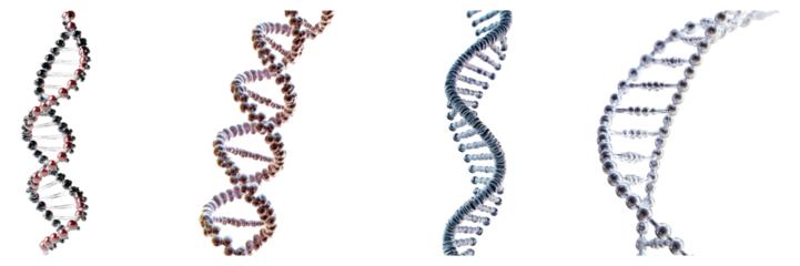 Colorful Representation of DNA Helix in Different Structures and Styles, Isolated on Transparent Background