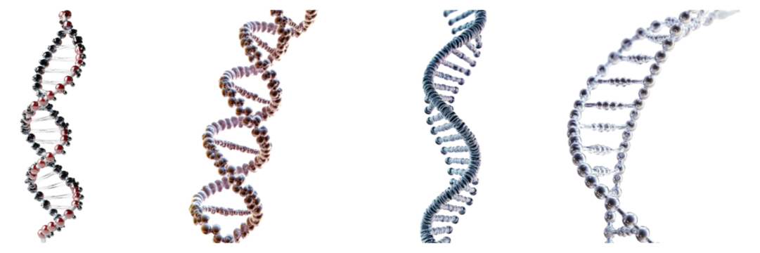 Colorful Representation of DNA Helix in Different Structures and Styles, Isolated on Transparent Background - Powered by Adobe