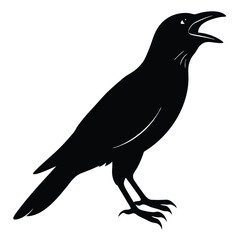 Fototapeta premium crow black silhouette vector art illustration