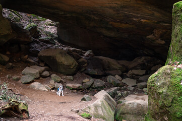 Malamute dog sitting under Whittleton Arch in Kentucky Red River Gorge