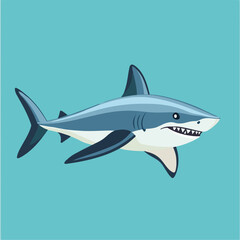 Obraz premium great white shark