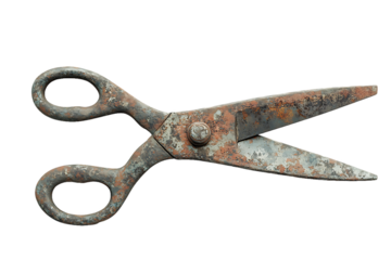 Vintage Rusty Scissors