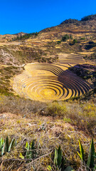 MORAY INCA TERRACES, SACRED VALLEY, PERU