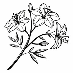 Floral flower vector illustration.