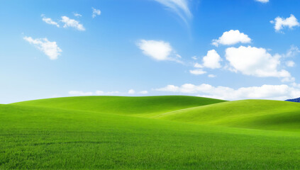 Obraz premium Vast Green Hills Under a Clear Blue Sky with Soft White Clouds