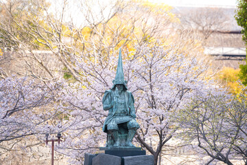 熊本城の加藤清正公像と桜