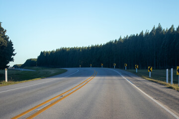 Curva señalizada a la derecha en la ruta