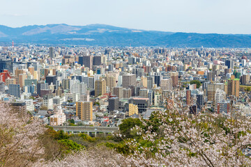 桜咲く花岡山公園から望む熊本市街地
