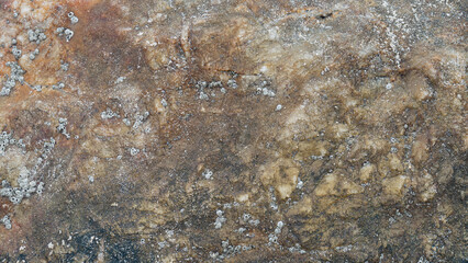 Above of surface of a large rock with sand grains. for background and textured of rock on the beach.