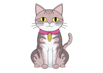 Fototapeta premium cat vector art