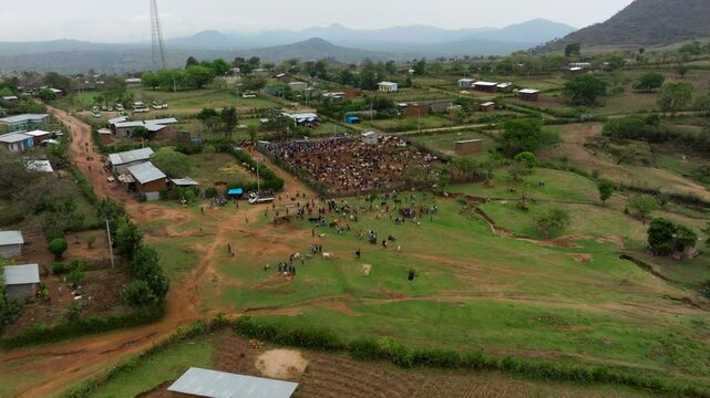 Local Tribal People Trading Livestock Animals At Kako Animal Market In Omo Valley, Ethiopia. aerial ascending shot