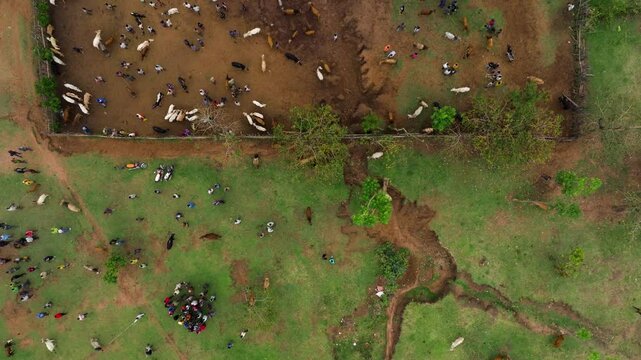 Top-Down View Of Livestock Market At Kako Village In Omo Valley, Ethiopia. - aerial shot