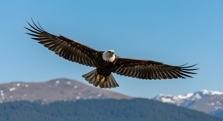 Obraz premium Bald eagle soars gracefully through the clear sky over mountain range