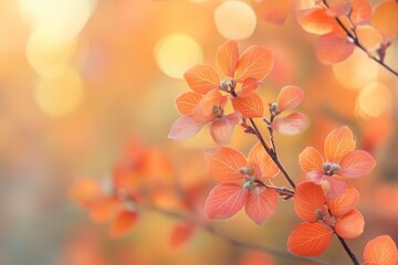 Macro photograph of delicate pink flowers blooming on a branch in warm natural light