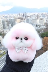 Obraz premium Pink Poodle Puppy City View.