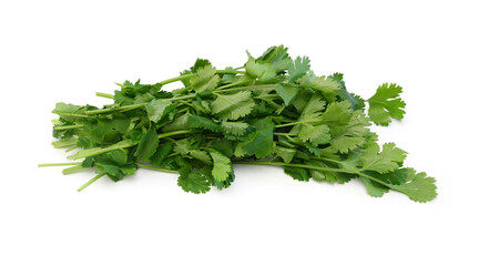 Coriander cilantro leaves isolated on white 