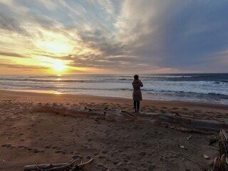 Naklejka premium A woman stands on driftwood at a beach in Point Reyes Beach, Inverness, California, USA, taking a photo of the sunset over the Pacific Ocean. She is enjoying the view and capturing the moment.