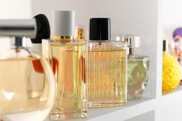 Different bottles of luxury perfume on shelf in store, closeup