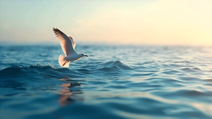Seagull Wallpeper Ocean Calm