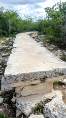 Ancient stone pathway through lush greenery, showing age and wear