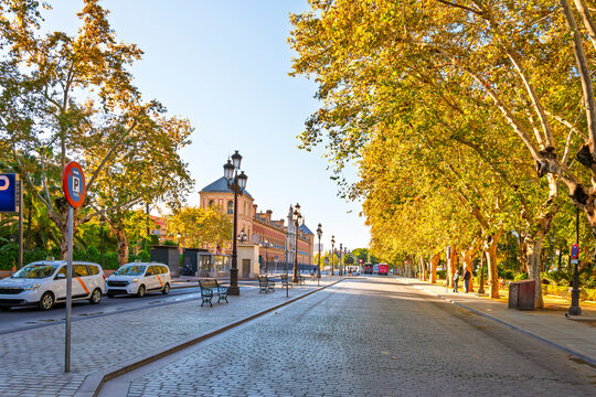 Fototapeta The wide tree lined streets near the historic center of Seville, Spain, with the Palacio de San Telmo Government building on the left during autumn. 