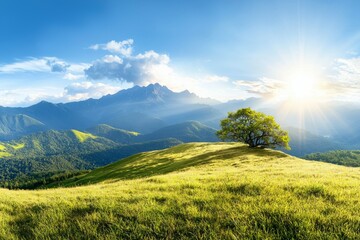 Fototapeta premium Large tree stands in a grassy field with mountains in the background