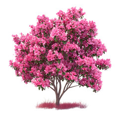 A 3D Vibrant Pink Azalea Bush with Lush Blooms Isolated on Transparent Background