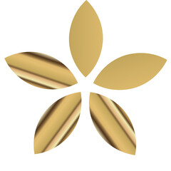 Golden flower on isolated white