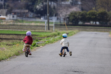 畑の中の道で自転車で遊ぶ兄弟
