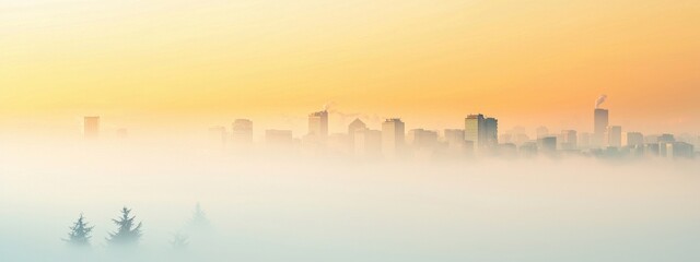 Fototapeta premium Misty Sunrise Over Urban Skyline with Trees in Foreground