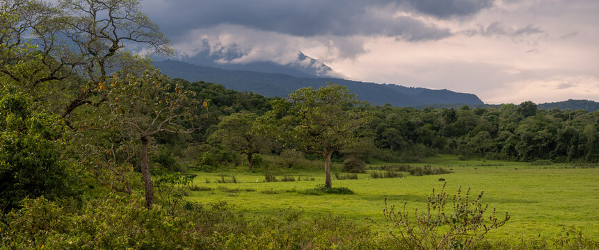 Scenic panoramic landscape of Arusha national park in Tanzania.