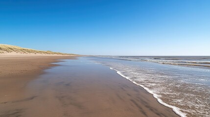 Expansive sandy beach meeting a clear blue sky on a tranquil day