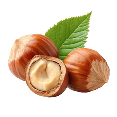 Hazelnuts with Leaves on transparent background