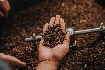  Roasted Coffee Beans I