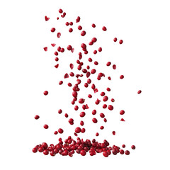 Pile with falling cranberries isolated on white or transparent background png
