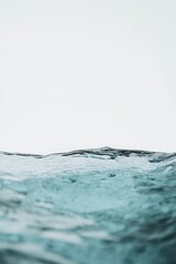 close-up of rare animal with serene background