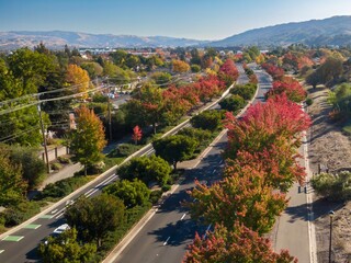 Fototapeta premium Aerial view of a suburban neighborhood in Dublin, California, USA, during autumn. Cars drive on a tree-lined street with colorful fall foliage.