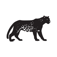 Obraz premium Vector illustration of a leopard and cheetah on a black background