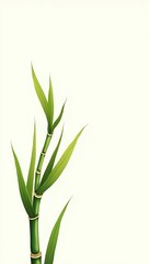Obraz premium Bamboo Leaves Isolated on White Background with Copy Space, Fresh Green Foliage for Natural Zen Concept 