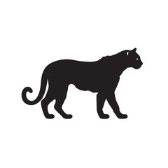 Obraz premium Black Panther and Wild Animal Vector Illustration with Leopard, Tiger, and Other Wildlife