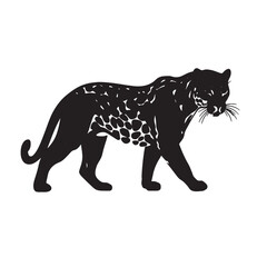 Obraz premium Wild cat silhouette, leopard vector illustration