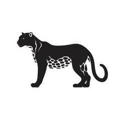 Fototapeta premium Isolated wild leopard vector illustrations, black silhouette and white mammal