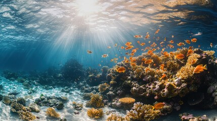Underwater coral reef scene with sunlight rays and fish