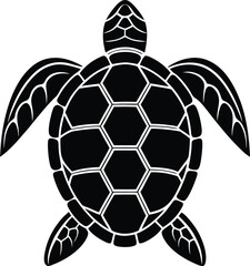 turtle vector illustration isolated on a white background.
