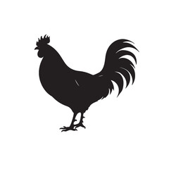 A farm animal illustration shows an isolated rooster, a type of poultry bird, in a simple drawing